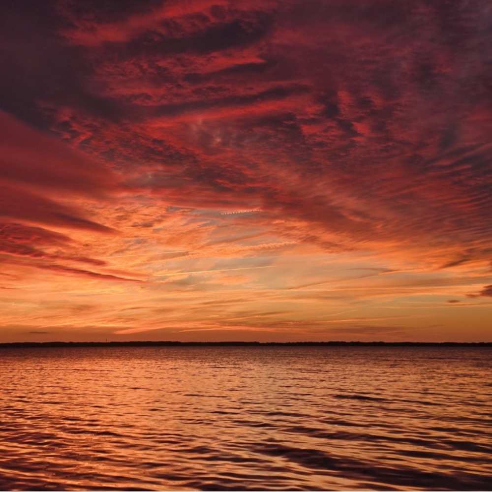 Make me an offer I can’t refuse ❤️